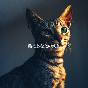 Swanky Music for Melbourne Coffee Roasters