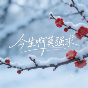 今生啊莫强求（抖音热播版）