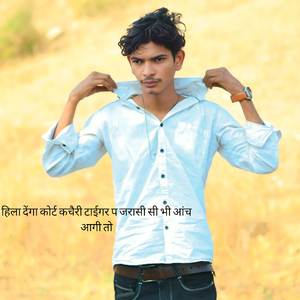 हिला देंगा कोर्ट कचैरी टाईगर प जरासी सी भी आंच आगी तो