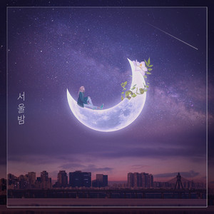 서울밤