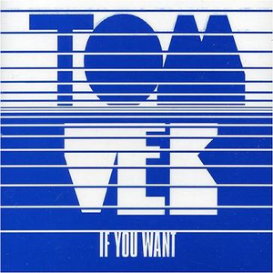 If You Want (Radio Version)