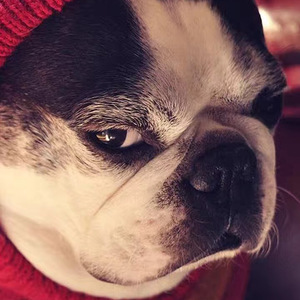 童话故事（澄海伯伯Remix）