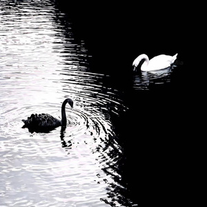 沦陷（cover JuggShots）