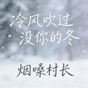 冷风吹过没你的冬