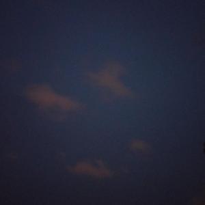 The rose（demo）（翻自 手嶌葵）
