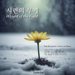 시련의 무게 (Weight of the Fight)