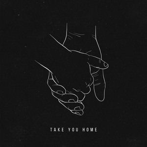 Take You Home
