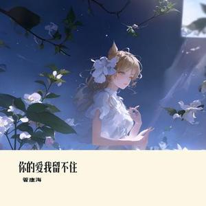 你的爱我留不住