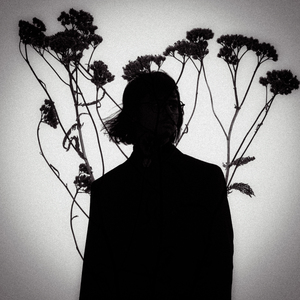 Срібний пульсар