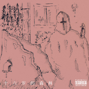 十六岁的森林 feat.Terry Chio