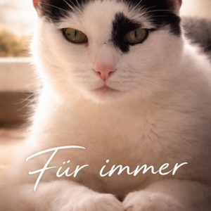 Für immer