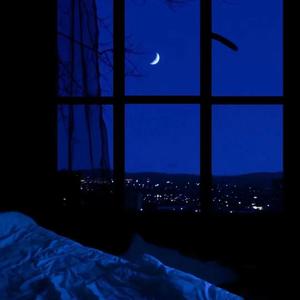 パノプティコン（翻自 初音ミク）