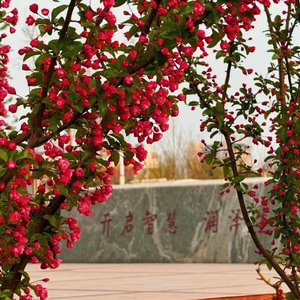 她是我的必要不充分