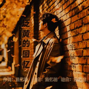 泛黄的回忆