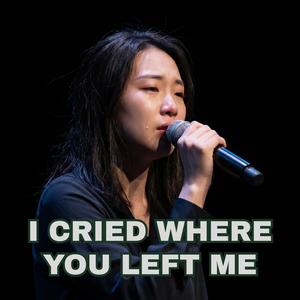 You Loved Me in Pieces