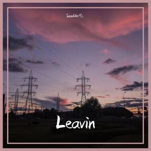 I Took A Pill In Ibiza(SkadderYc remix)