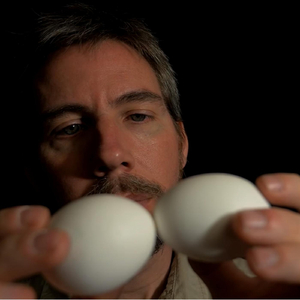 This Is Not a Pair of Shopping Bags