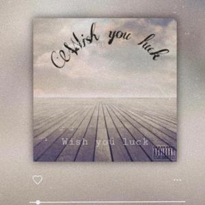 Wisg you luck (feat. MS24)