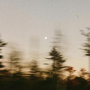 I Wish I Loved Myself