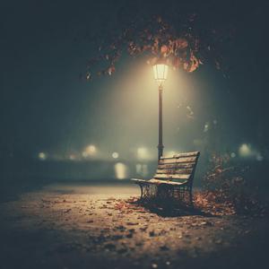 혼자 사는 인생