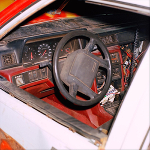 Pigeon in a Rat Trap