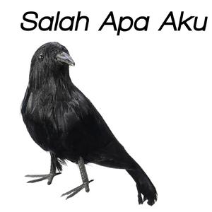 Salah Apa Aku Burung Gagak