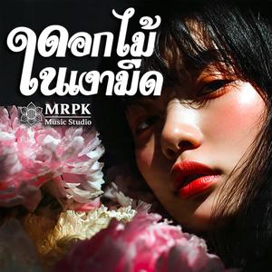 ดอกไม้ในเงามืด