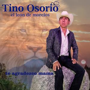te agradezco mama