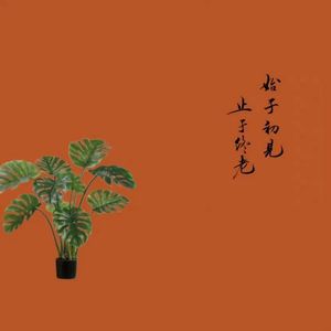 普普通通两个人2.0