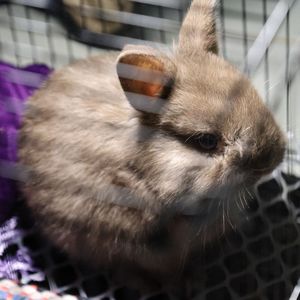 主动的人不会走散