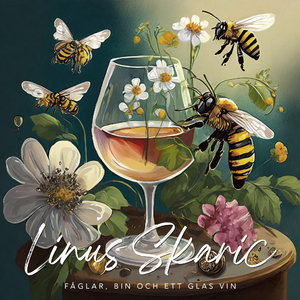 Fåglar Bin och Ett Glas Vin