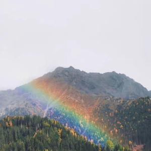 为你我受冷风吹