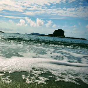 夏の終わりのハーモニー (Cover)