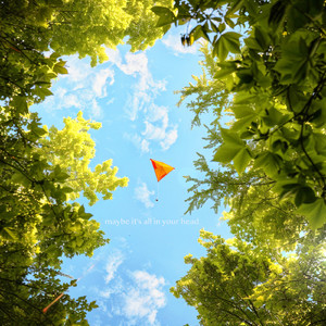 Maybe It's All In Your Head.