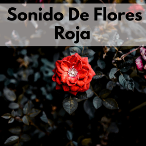 Sonido De Flores Roja