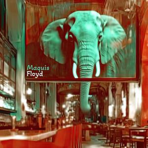 Floyd (Collasoul Remix)