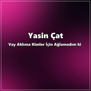 Vay Aklıma Kimler için Ağlamadım ki