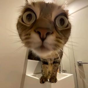 我的美丽（说唱版）