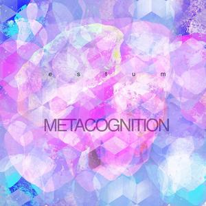 Metacognition