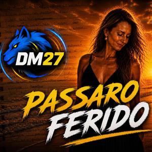 Passaro Ferido