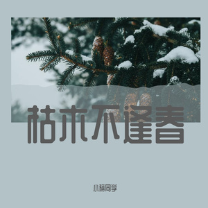 我在昨天的梦里又看见了你