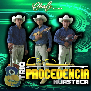 Huapango Anacatlan
