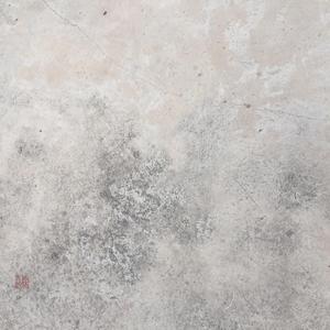 N5-02.畜形人论道