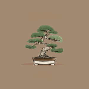 bonsai tree
