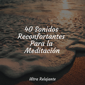 Reinando En Concentración