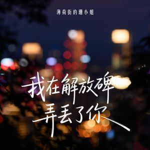 我在解放碑弄丢了你