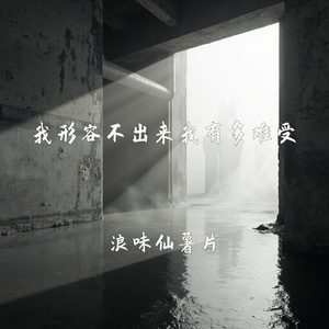 我形容不出来我有多难受