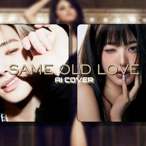 Same Old Love - Sunghoon & Wonyoung (AI COVER)