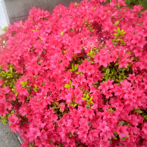 アリジゴクを越えろ (Instrumental)