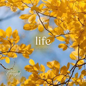 Life Begins Again